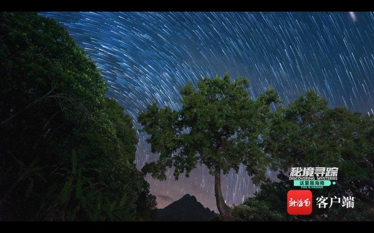冷知识分享平台-初学者滑雪的时候怎样找到乐趣?,发现更多有趣的冷知识